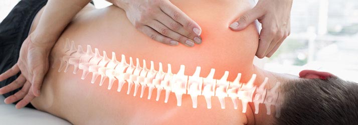 Chiropractic Traverse City MI Functional Scoliosis