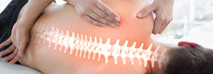 Chiropractic Traverse City MI Functional Scoliosis Chiropractic Traverse City MI Functional Scoliosis